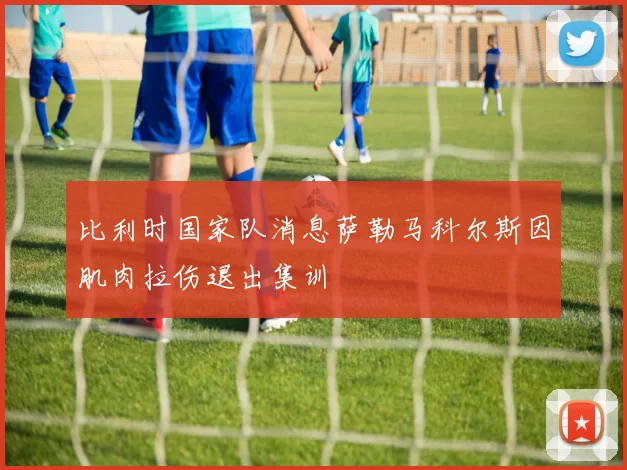 比利时国家队消息萨勒马科尔斯因肌肉拉伤退出集训