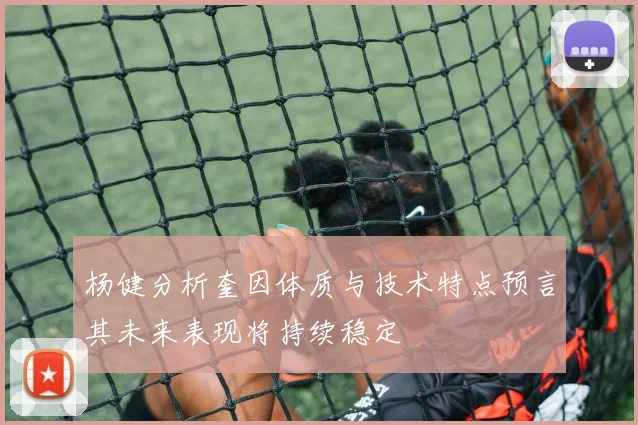 杨健分析奎因体质与技术特点预言其未来表现将持续稳定
